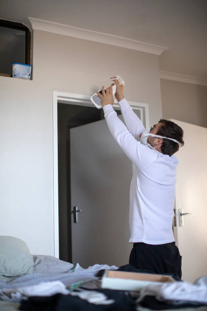 Best Mold Damage Restoration  in Whiteville, NC
