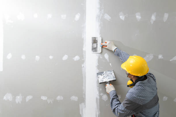 Best Mold Removal for HVAC Installations  in Whiteville, NC