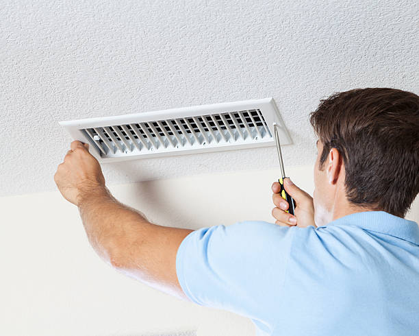 Best Mold Remediation for Healthcare Facilities  in Whiteville, NC