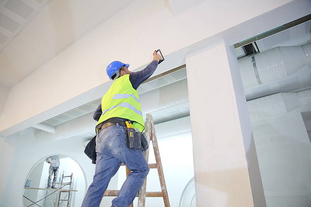 Best Mold Remediation for Vacation Homes  in Whiteville, NC