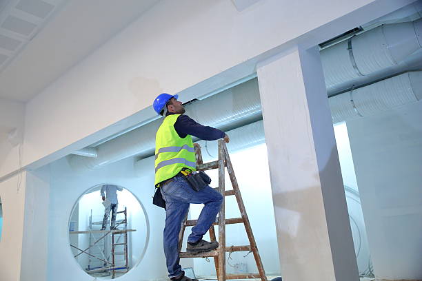 Best Crawl Space Mold Remediation  in Whiteville, NC