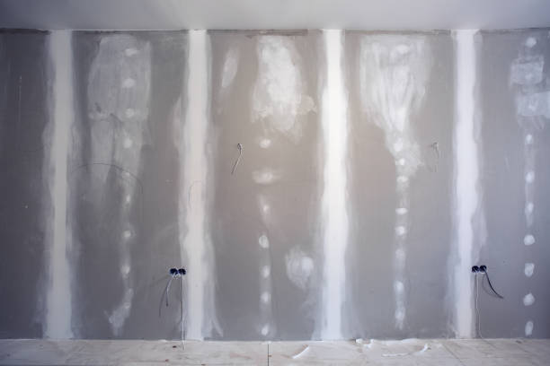 Best Water Damage & Mold Remediation  in Whiteville, NC